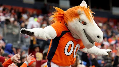 Miles (Denver Broncos) is one of the most popular mascots in the NFL.