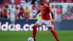 Fernandez of Benfica