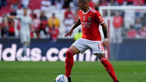 Fernandez of Benfica