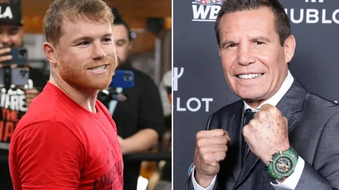 Canelo Alvarez, Julio Cesar Chavez, Boxing