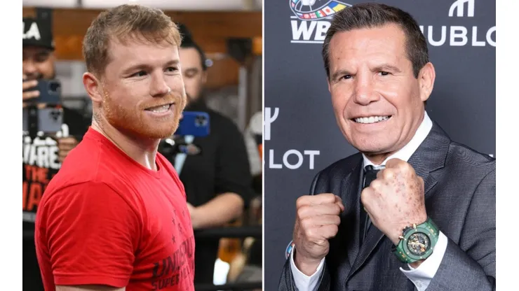Canelo Alvarez, Julio Cesar Chavez, Boxing