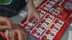 The FIFA World Cup Panini Sticker Album