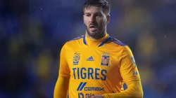 Andre Pierre Gignac, Liga MX, Club Tigres