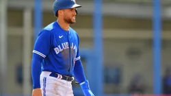 Springer of the Blue Jays