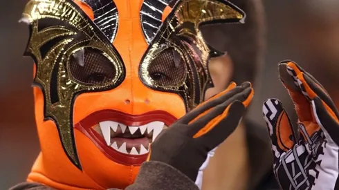 Cleveland Browns masked fan