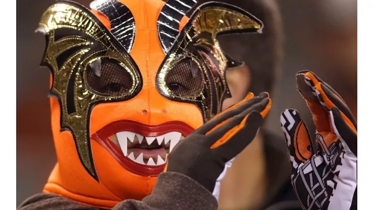 Cleveland Browns masked fan