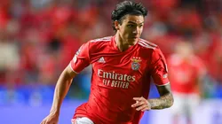 Darwin Nuñez of Benfica