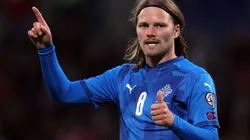 Birkir Bjarnason of Iceland