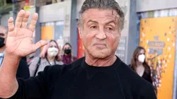 Sylvester Stallone's Rocky Balboa became an icon of boxing culture