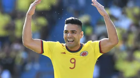 Radamel Falcao, Colombia National Team