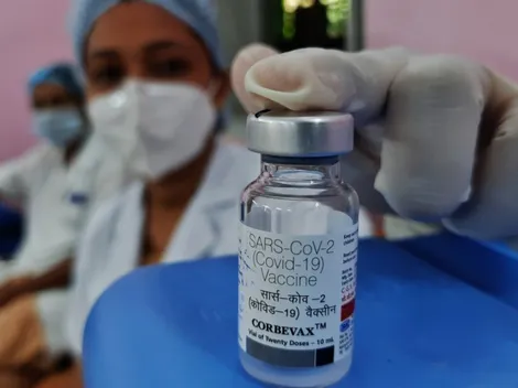 Qatar 2022: The approved vaccines to attend the upcoming FIFA World Cup