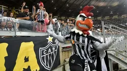 Galo