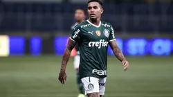 Dudu of Palmeiras