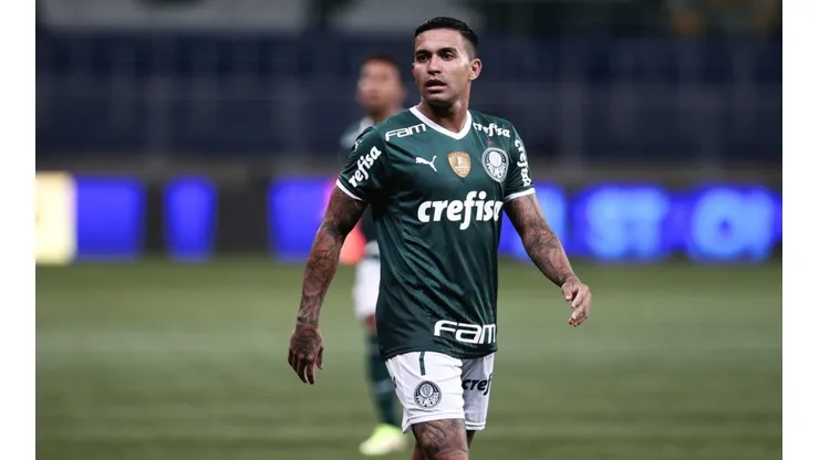 Dudu of Palmeiras