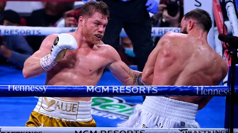 Canelo Alvarez has plenty of options to choose his next opponent