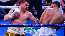 Canelo Alvarez, Boxing