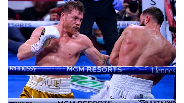 Canelo Alvarez, Boxing