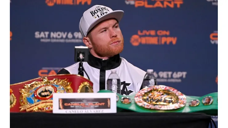 Canelo Alvarez, Boxing