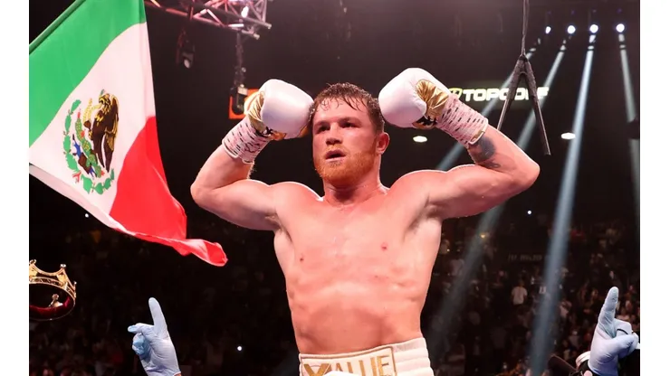 Saul Canelo Alvarez, Boxing