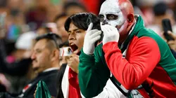 Mexican Fans, Soccer