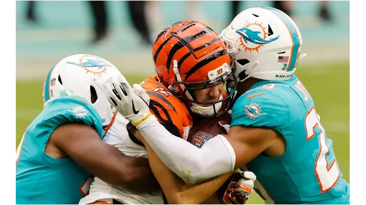Bengals vs Dolphins. (Getty)