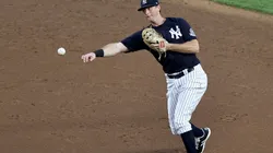 DJ LeMahieu. (Getty)
