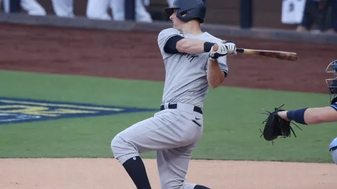 DJ LeMahieu. (Getty)