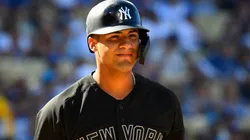 Gleyber Torres. (Getty)