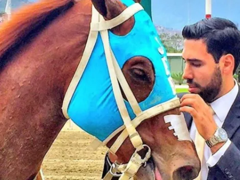 Jose D'Angelo and his amazing journey to the 145th Preakness Stakes