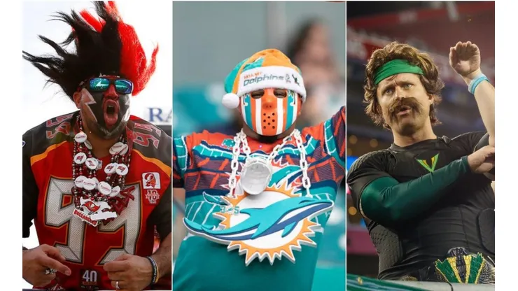 Tampa Bay Buccaneers, Miami Dolphins and Tampa Bay Vipers are three of the most beloved teams in Florida.