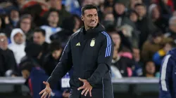 Lionel Scaloni during Argentina-Chile match for 2026 World Cup Qualifiers