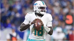 Miami Dolphins Quarterback Tyler Huntley