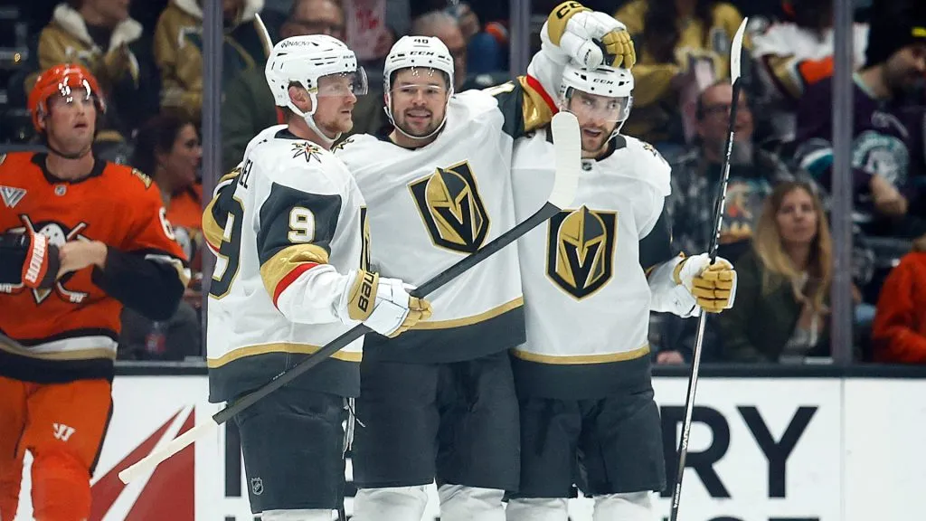 Tomas Hertl #48 of the Vegas Golden Knights celebrates a goal with Jack Eichel #9 and Nicolas Roy #10 against the Anaheim Ducks in the second period at Honda Center on November 13, 2024. (Source: Ronald Martinez/Getty Images)