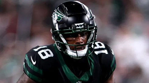 Mike Williams, the recent sign of the Pittsburgh Steelers