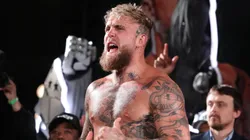 Jake Paul reveals Conor McGregor wants to fight him too