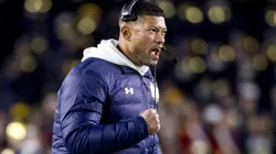Notre Dame head coach Marcus Freeman reacts to touchdown during NCAA, College League, USA football game action between the Indiana Hoosiers and the Notre Dame Fighting Irish at Notre Dame Stadium in South Bend, Indiana.