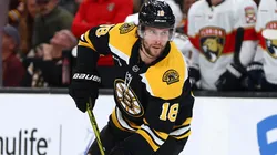 Pavel Zacha #18 of the Boston Bruins skates against the Florida Panthers during the third period at TD Garden on October 14, 2024 in Boston, Massachusetts.