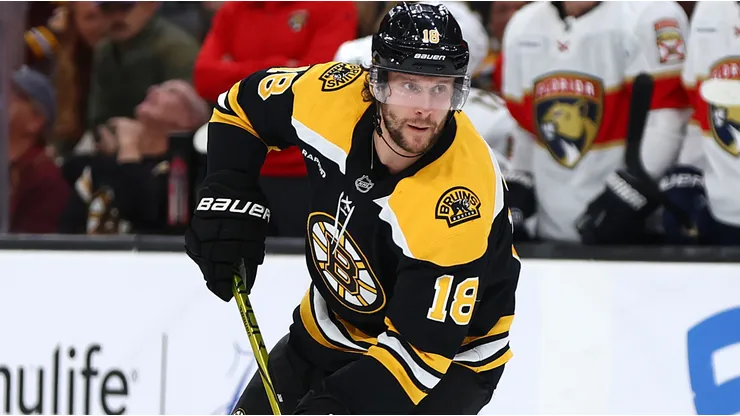 Pavel Zacha #18 of the Boston Bruins skates against the Florida Panthers during the third period at TD Garden on October 14, 2024 in Boston, Massachusetts.
