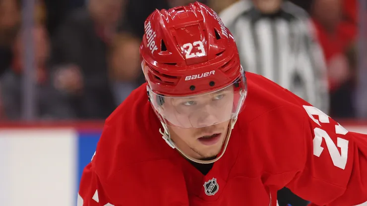 Lucas Raymond #23 of the Detroit Red Wings plays against the Washington Capitals at Little Caesars Arena on December 29, 2024 in Detroit, Michigan.