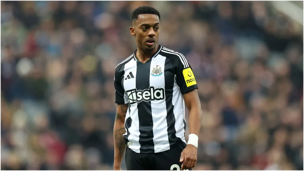 Joe Willock of Newcastle United – Molly Darlington/Getty Images