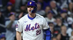 Pete Alonso #20 of the New York Mets reacts during the third inning against the Los Angeles Dodgers during Game Four of the National League Championship Series at Citi Field on October 17, 2024 in New York City.