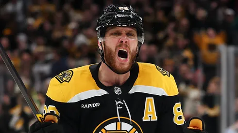 David Pastrnak of the Boston Bruins