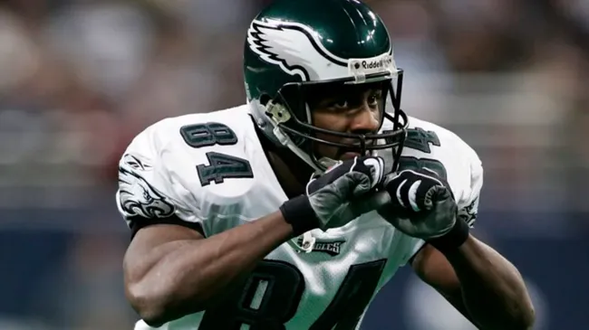 Freddie Mitchell (Source: NFL)