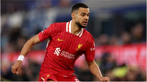 Cody Gakpo of Liverpool