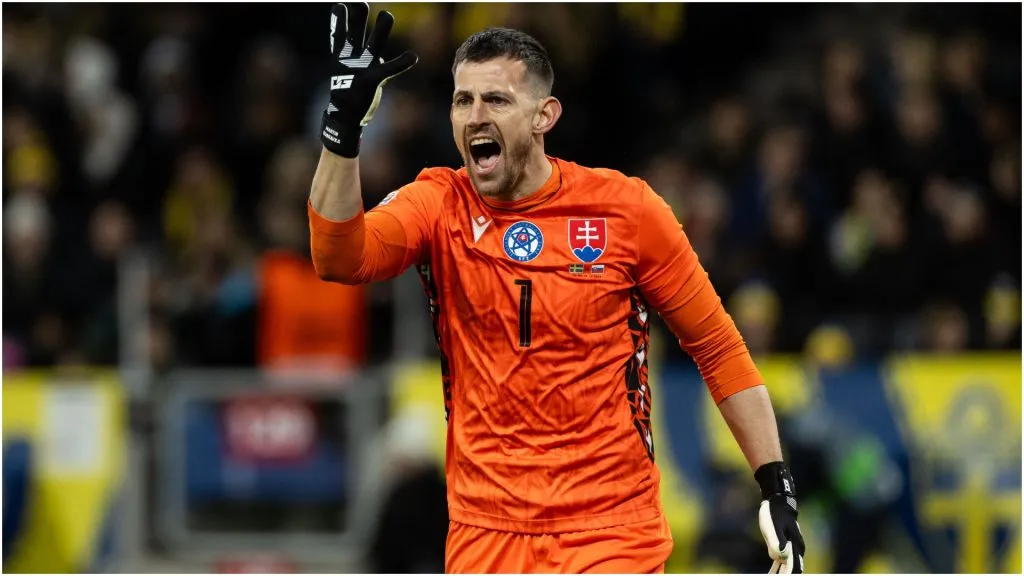 Goalkeeper Martin Dubravka of Slovakia – Michael Campanella/Getty Images