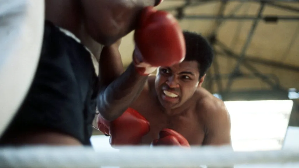 Muhammad Ali in action against Al ‘Blue’ Lewis during a Heavyweight fight at Croke Park July 19, 1972. (Source: Don Morley/Allsport/Getty Images)