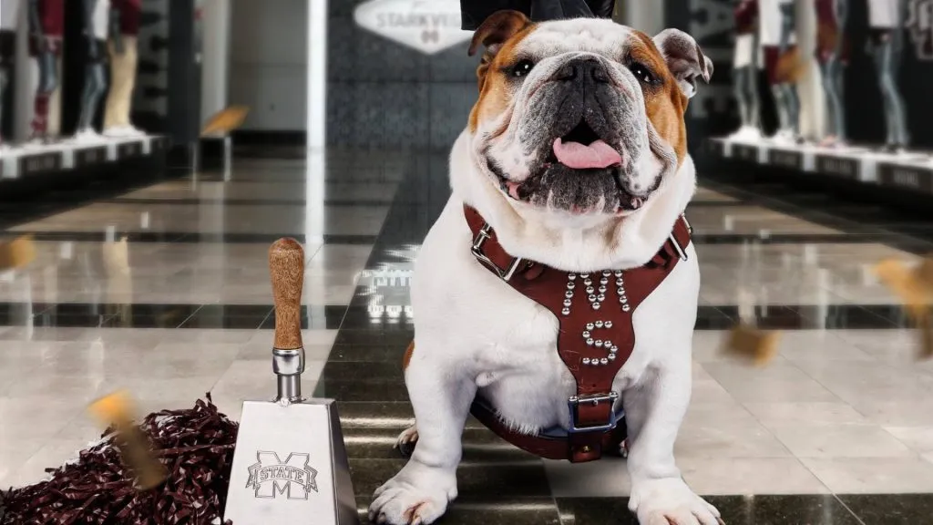 Bully (Source: @BullyXXII)