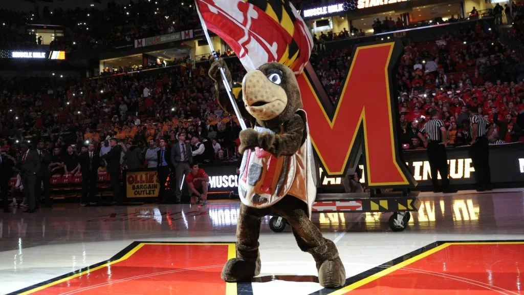 Testudo (Source: @umterps)