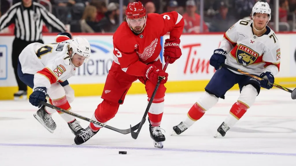Justin Holl #3 of the Detroit Red Wings skates past the stick of Rasmus Asplund #74 of the Florida Panthers during the second period at Little Caesars Arena on April 06, 2025 in Detroit, Michigan. (Photo by Gregory Shamus/Getty Images)