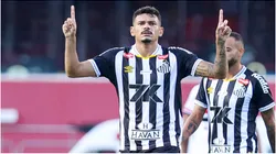 Tiquinho Soares of Santos